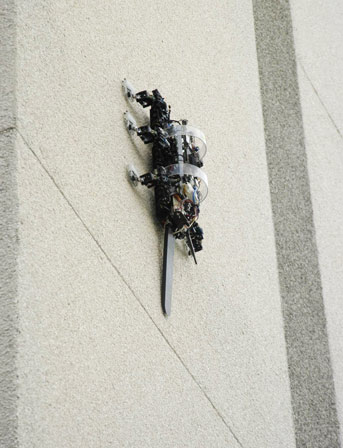 Rise Climb Rise Climb